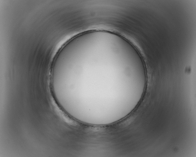 X0000111821040200907231019