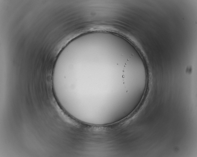 X0000111821041200907231019