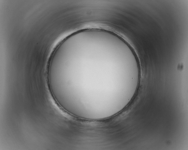 X0000111821045200907231019