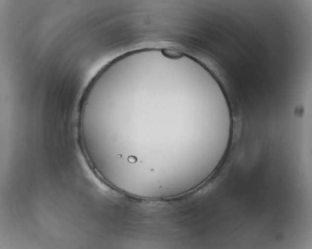 X0000111821046200907231019