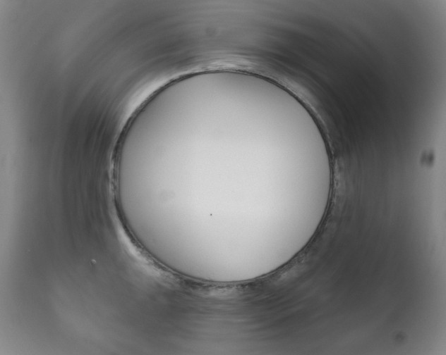 X0000111821047200907231019