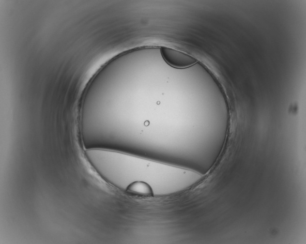 X0000111821048200907231019