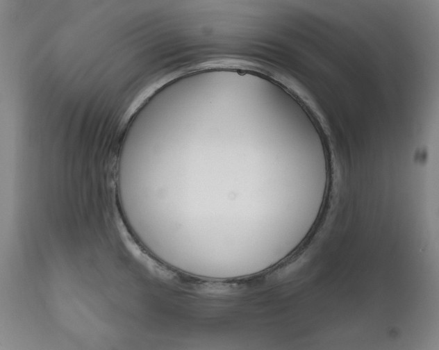 X0000111821049200907231019