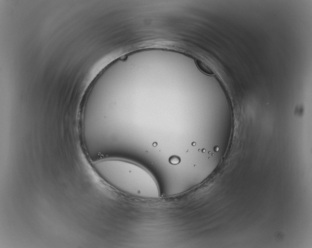 X0000111821050200907231019
