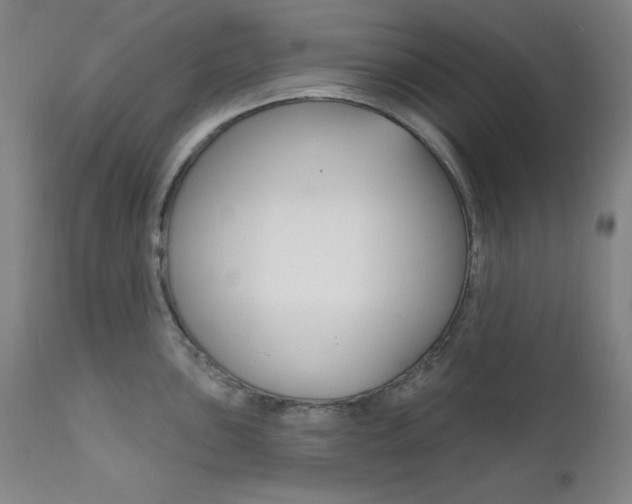 X0000111821051200907231019