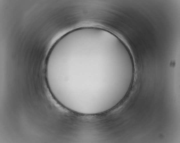 X0000111821053200907231019