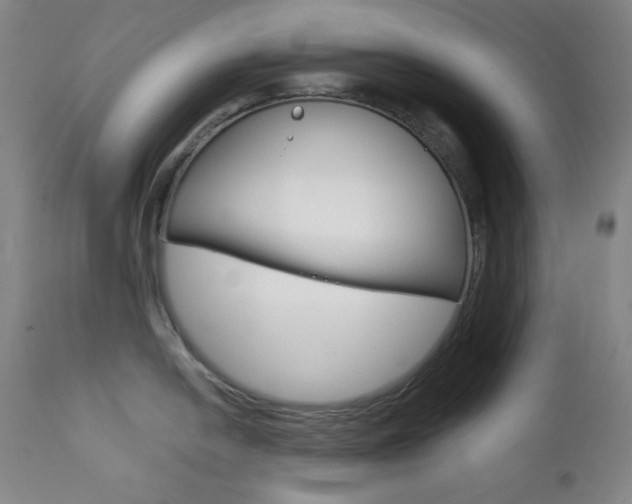 X0000111821054200907231019
