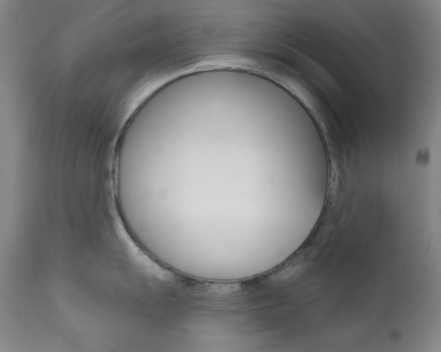 X0000111821055200907231019