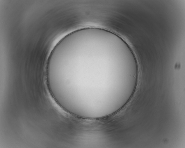 X0000111821056200907231019