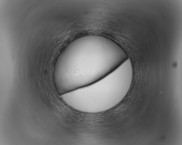 X0000111821057200907231018