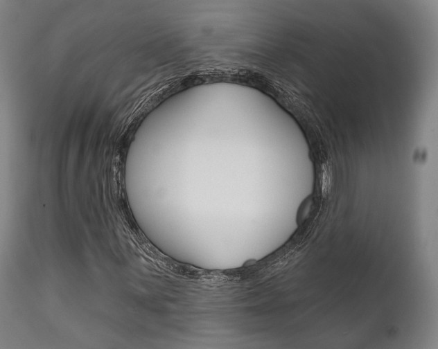 X0000111821059200907231018