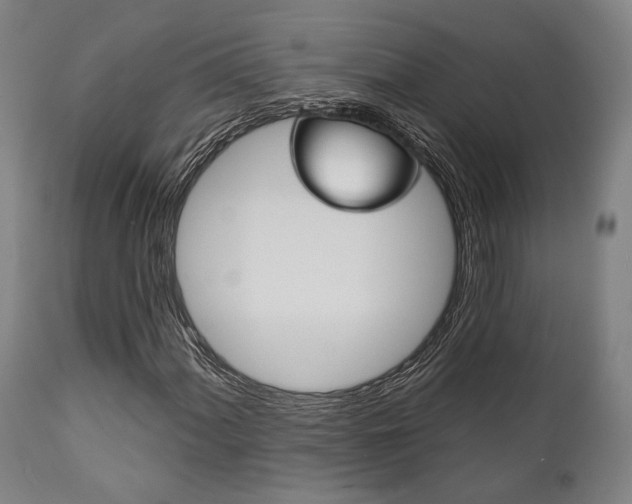 X0000111821060200907231018