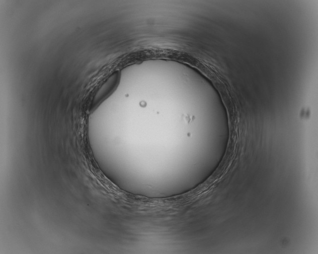 X0000111821061200907231018