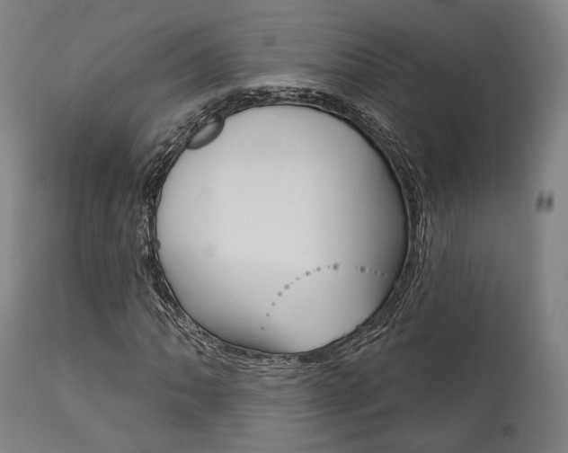 X0000111821062200907231018