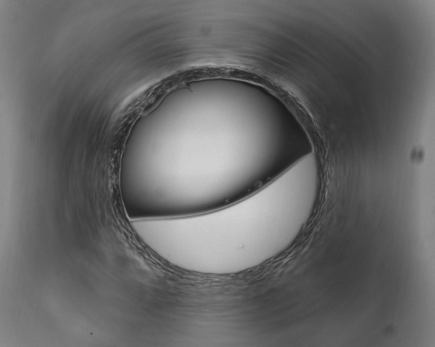 X0000111821064200907231018