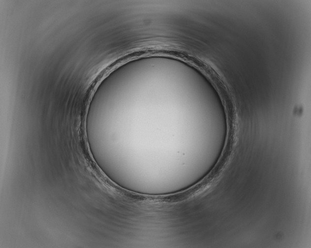 X0000111821065200907231018