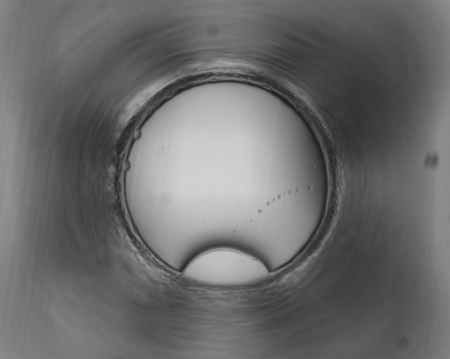 X0000111821066200907231018