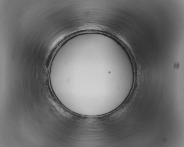 X0000111821067200907231018