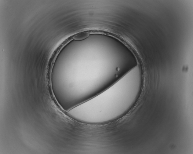 X0000111821068200907231018