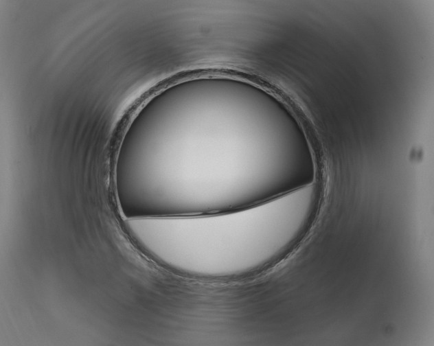 X0000111821069200907231018