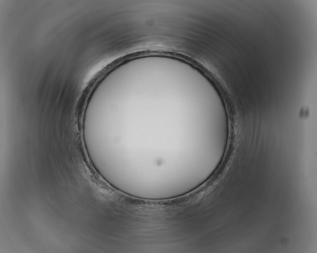 X0000111821070200907231018