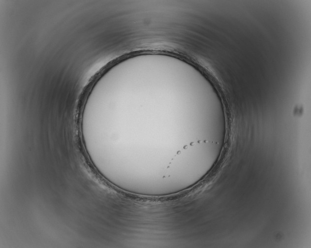 X0000111821071200907231018