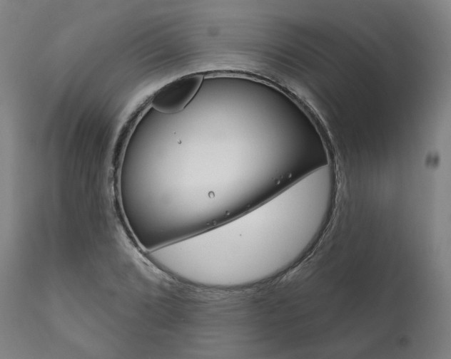X0000111821072200907231018