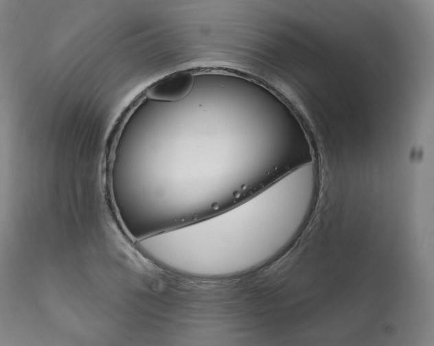 X0000111821076200907231018