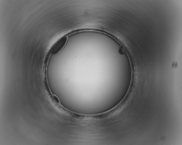 X0000111821077200907231018