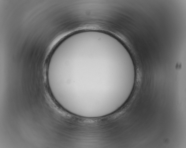 X0000111821078200907231018