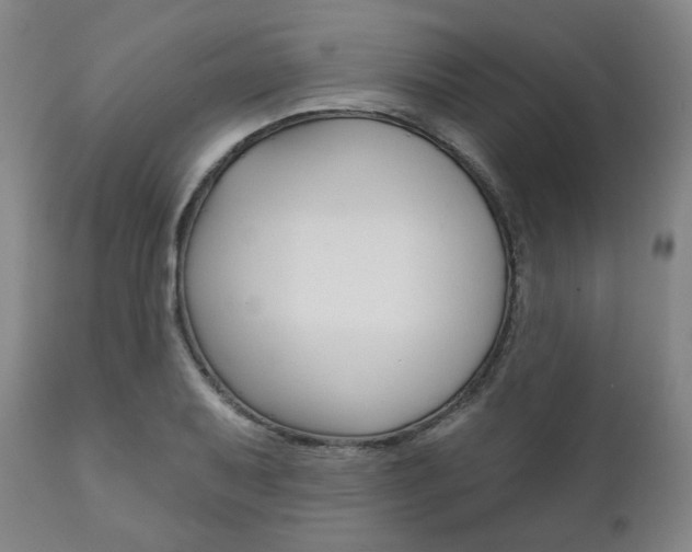 X0000111821079200907231018