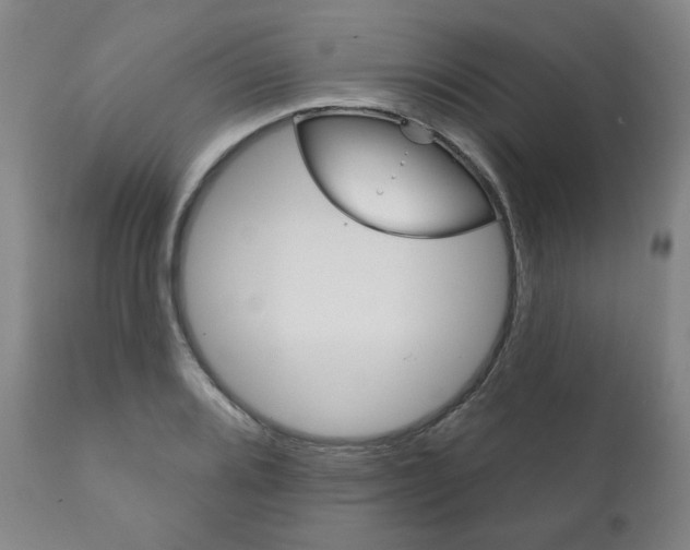 X0000111821080200907231018