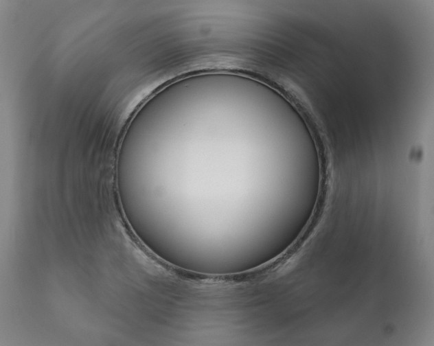 X0000111821081200907231018