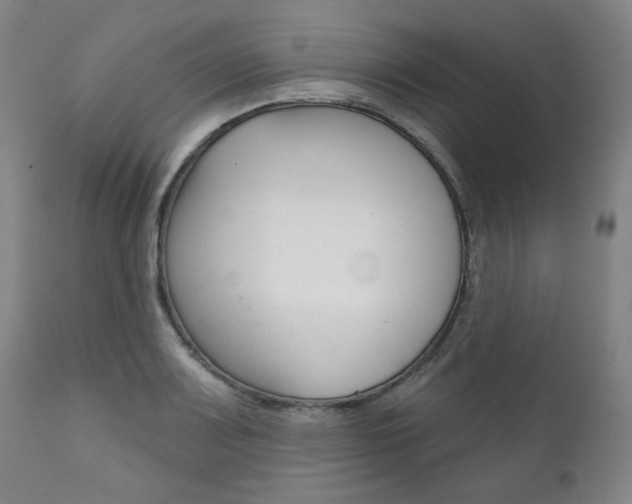 X0000111821083200907231018