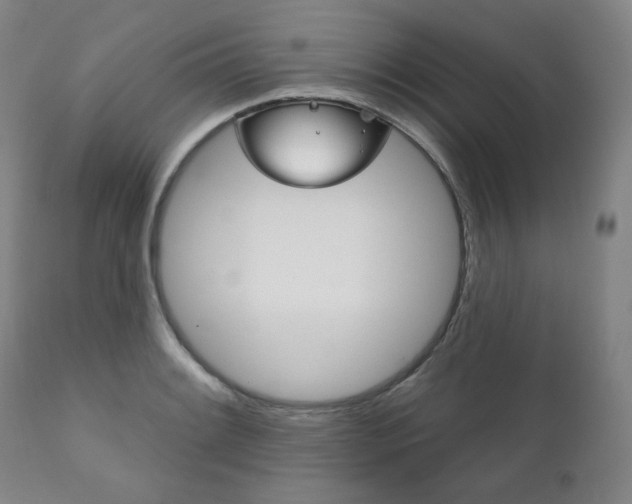 X0000111821084200907231018