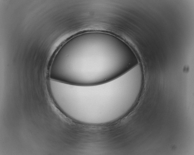 X0000111821085200907231018