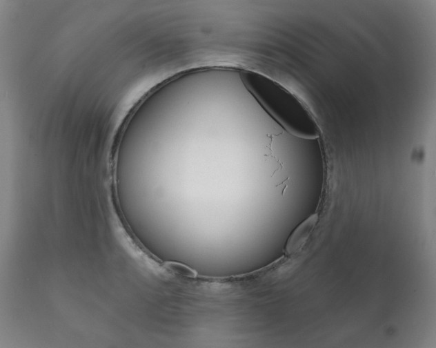 X0000111821088200907231018
