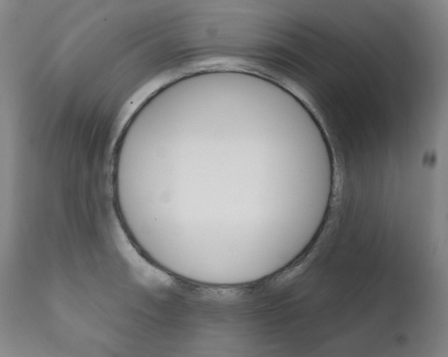 X0000111821090200907231018