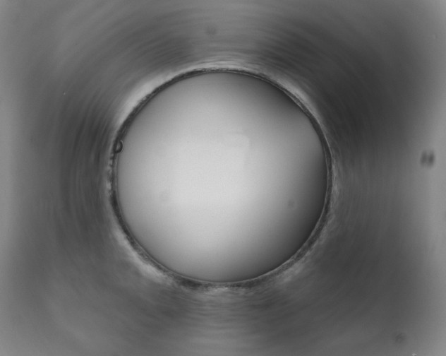 X0000111821093200907231018