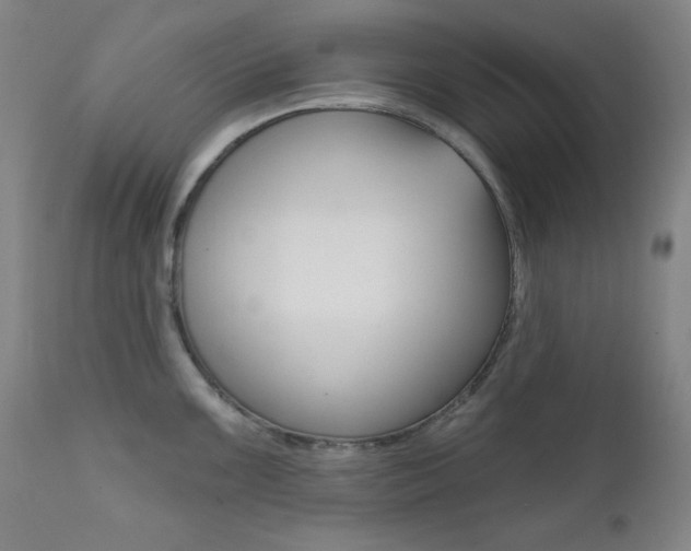 X0000111821099200907231018