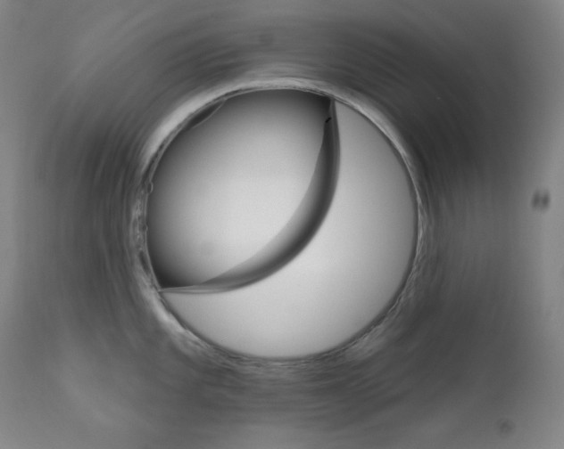 X0000111821101200907231018