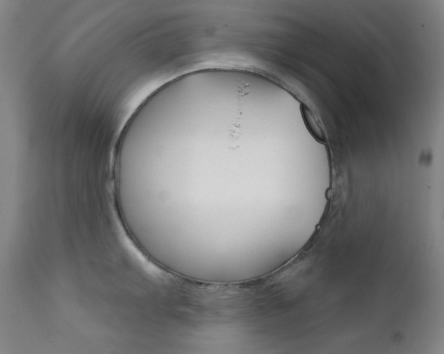 X0000111821103200907231018
