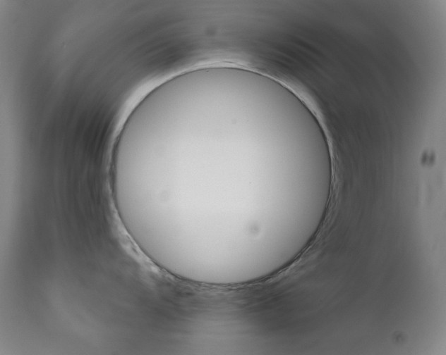 X0000111821104200907231018