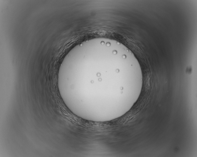 X0000111821105200907231017