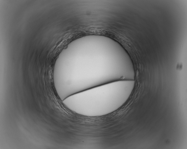 X0000111821107200907231017