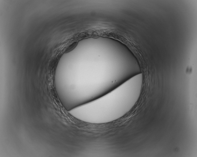 X0000111821109200907231017