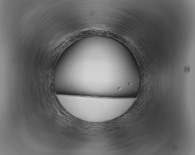 X0000111821110200907231017