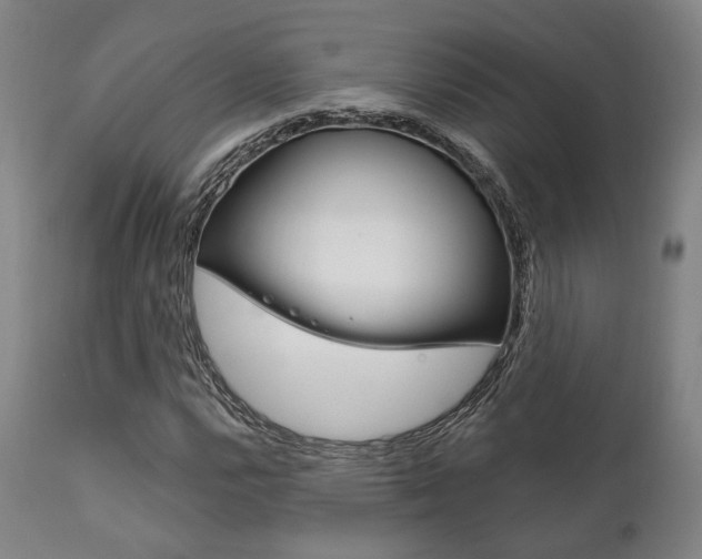 X0000111821112200907231017