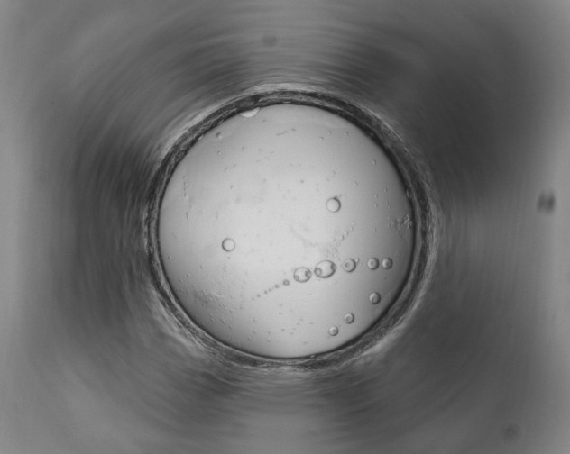 X0000111821113200907231017