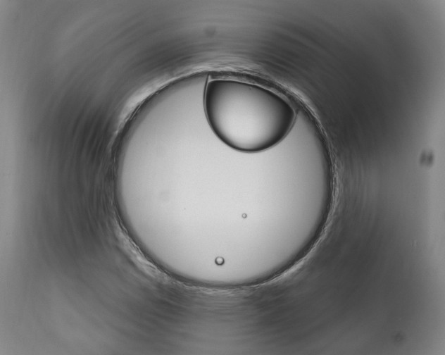 X0000111821114200907231017